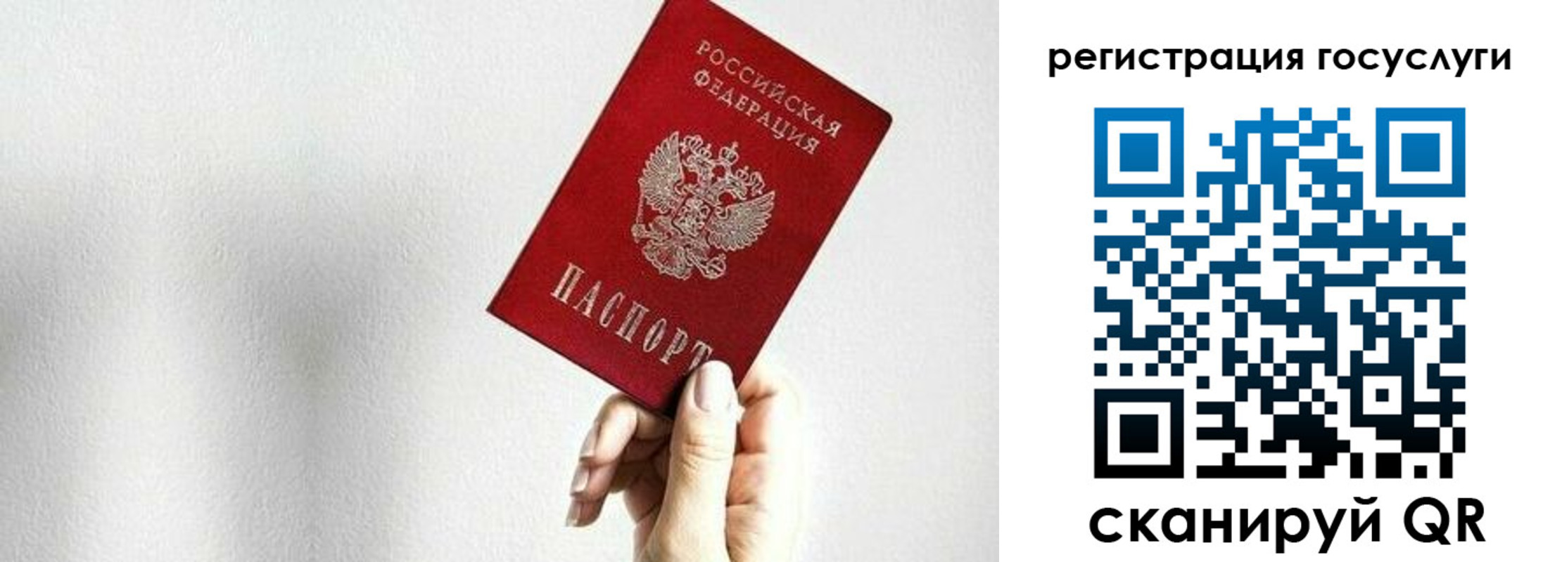 прописка гарантия в Юрьев-Польском